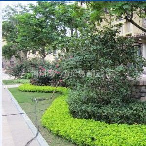 福州園林綠化 設計、施工與工程實例全覽