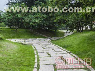 優(yōu)質景觀園林綠化工程施工公司探尋指南