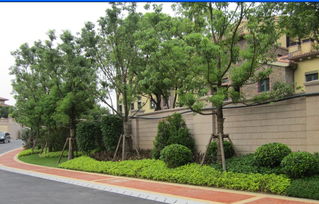 福州園林綠化工程 喬木、花灌木種植設計與施工要點