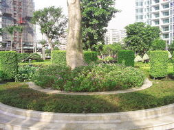 中山最便宜的剪花剪草、園林規劃設計與綠化工程施工全攻略