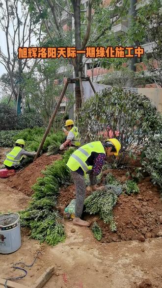 聚焦小區(qū)綠化施工現(xiàn)場 園林綠化工程的進(jìn)度管理與實(shí)踐