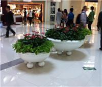 中山全方位綠化與植物租賃服務(wù)指南 從風(fēng)水綠植到園林工程，打造高性價(jià)比綠色空間